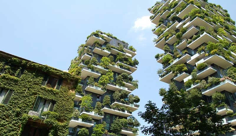 easy-ways-to-start-an-eco-friendly-lifestyle-at-home